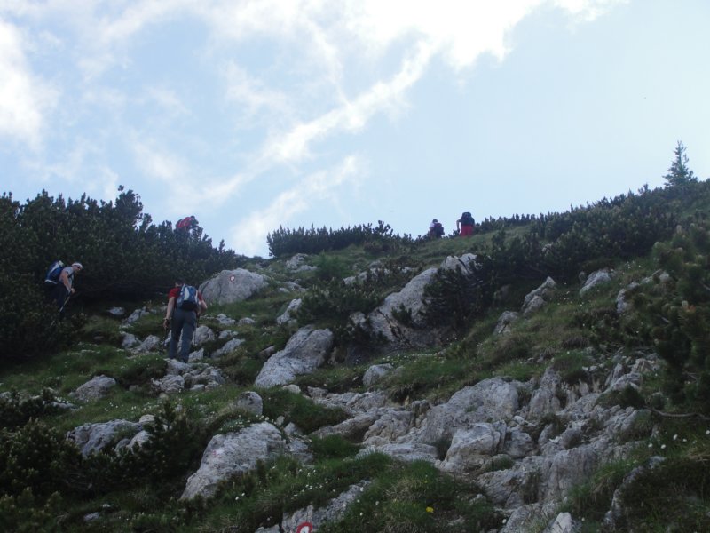 pik025.jpg