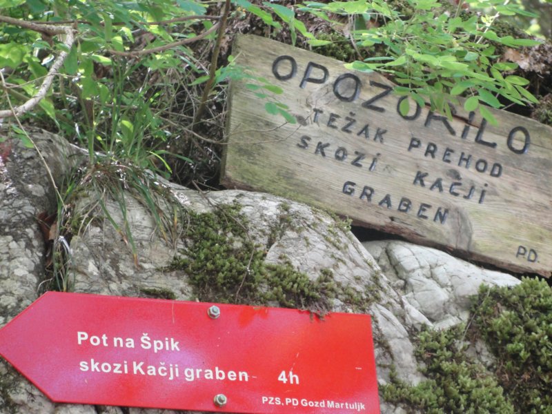 pik067.jpg