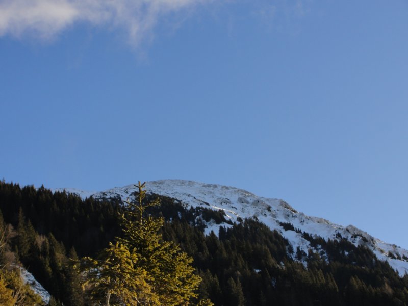 stol1.jpg