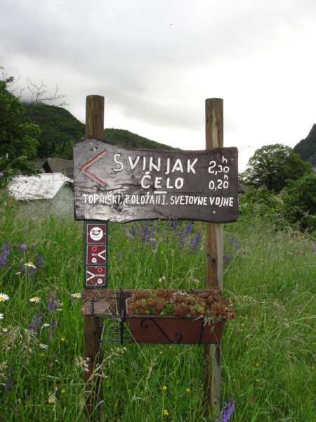 svinjak1.jpg
