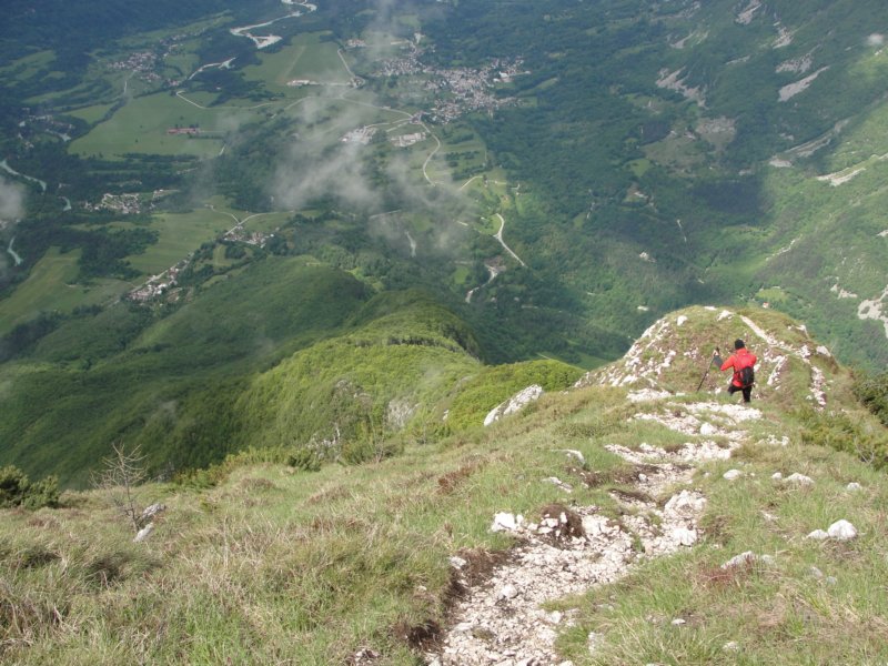 svinjak49.jpg