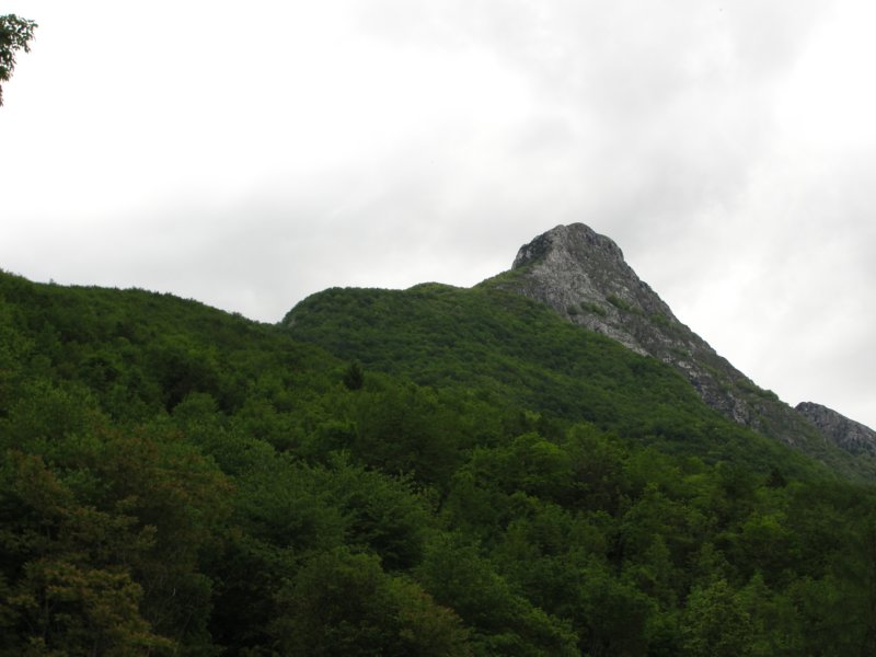 svinjak59.jpg