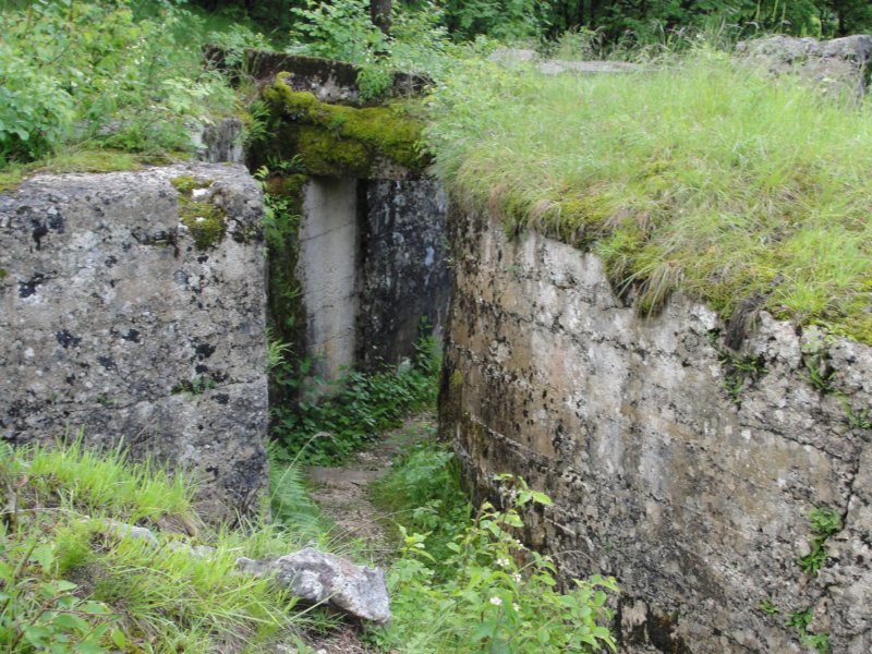 svinjak6.jpg
