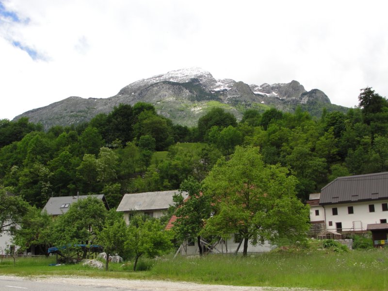 svinjak62.jpg
