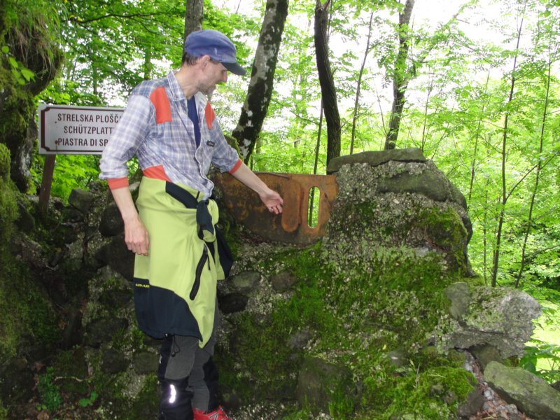 svinjak68.jpg