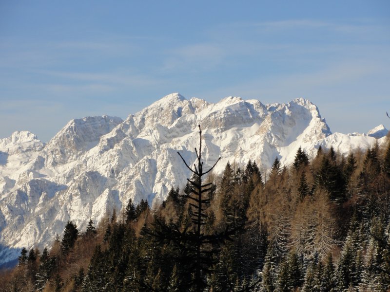 zimskiutrinki14.jpg