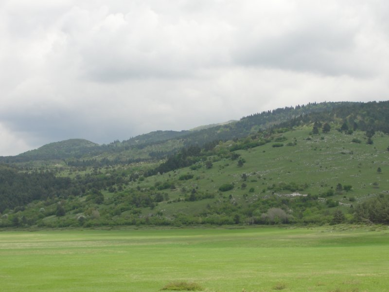 svtrojica61.jpg