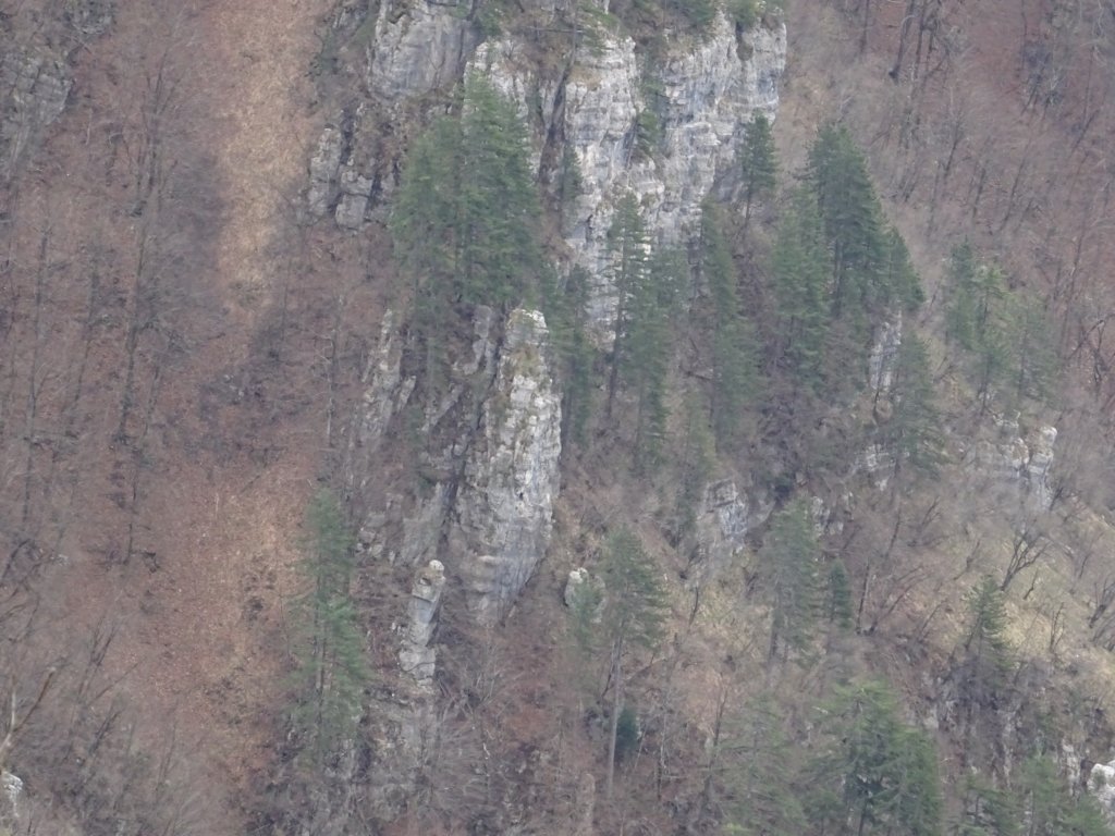 stolpi201913.jpg