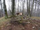 stolpi201914_small.jpg