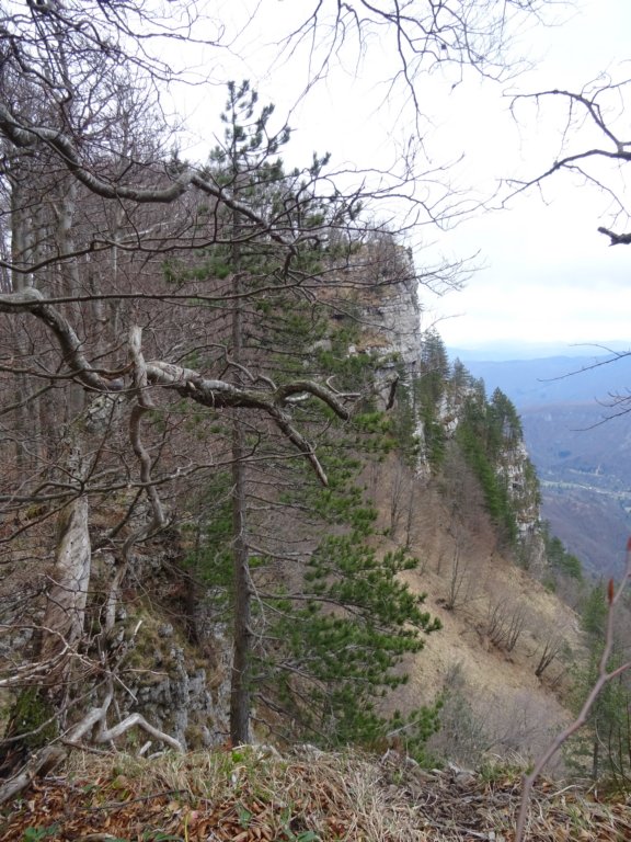 stolpi201927.jpg