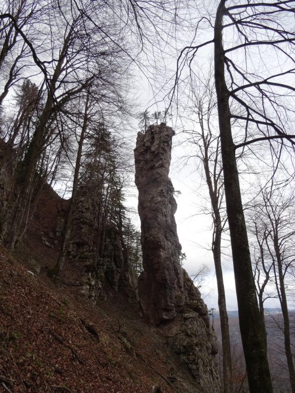 stolpi20193.jpg