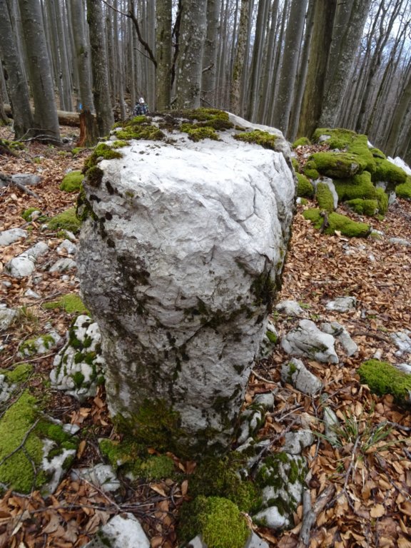 stolpi201931.jpg