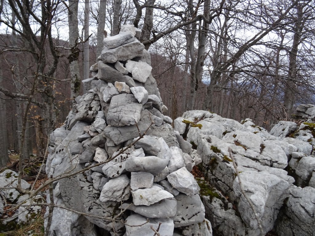 stolpi201939.jpg
