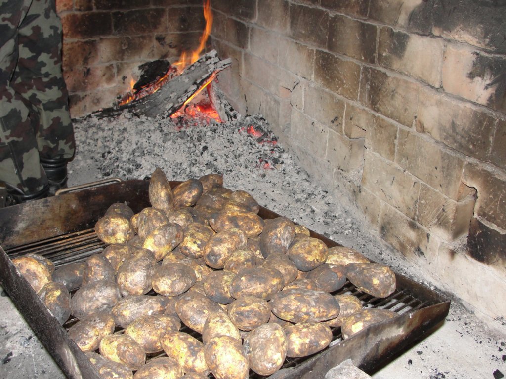 odkritjealjaevegastolpia100.jpg