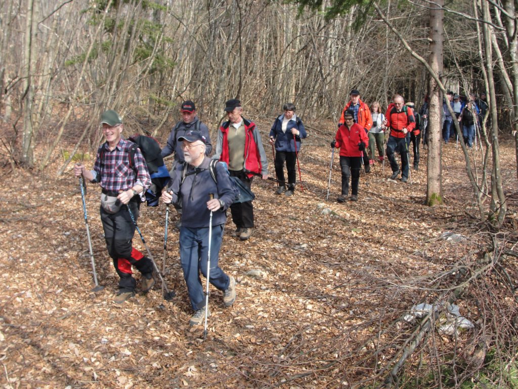 odkritjealjaevegastolpia21.jpg