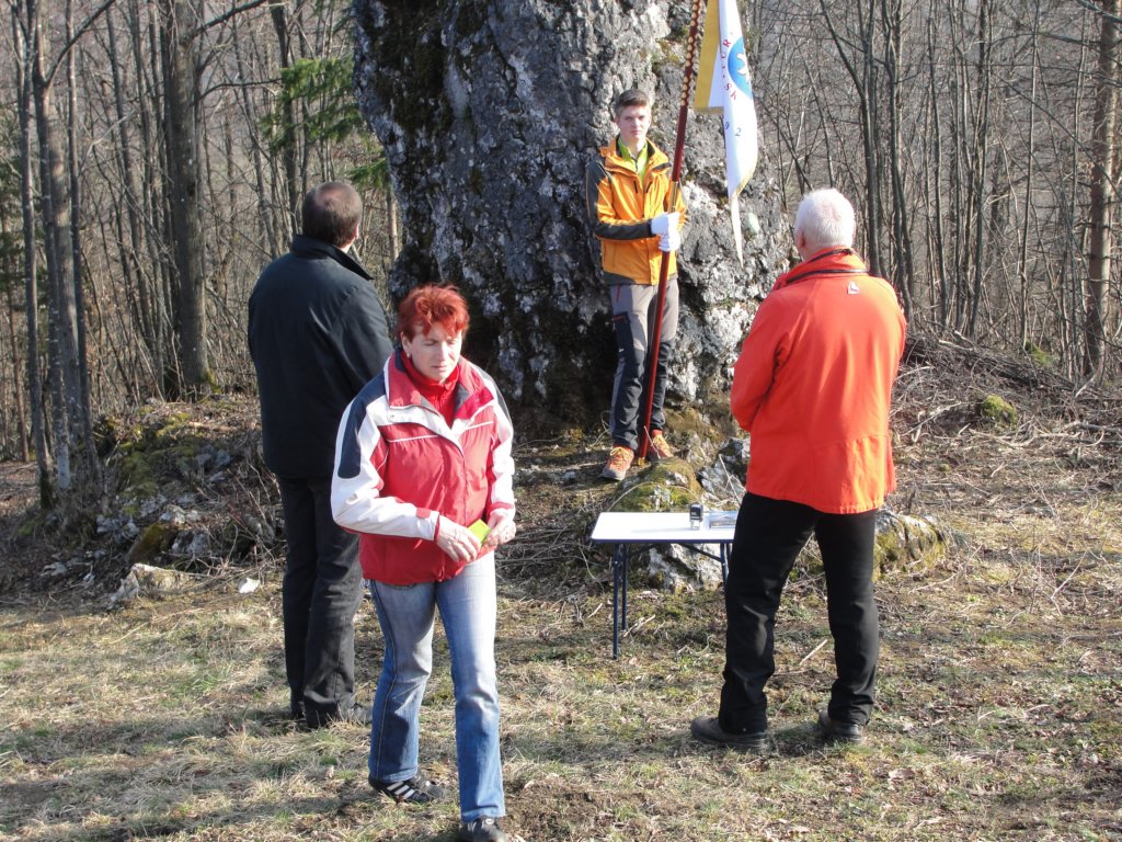 odkritjealjaevegastolpia90.jpg