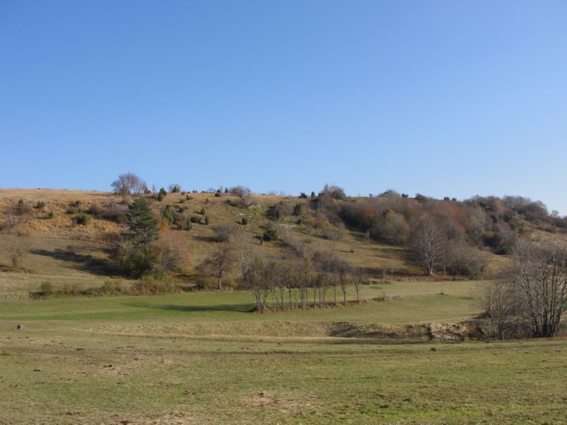 batovkapot22.jpg