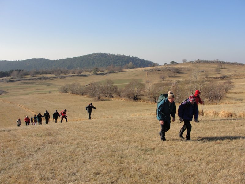 batovkapot25.jpg