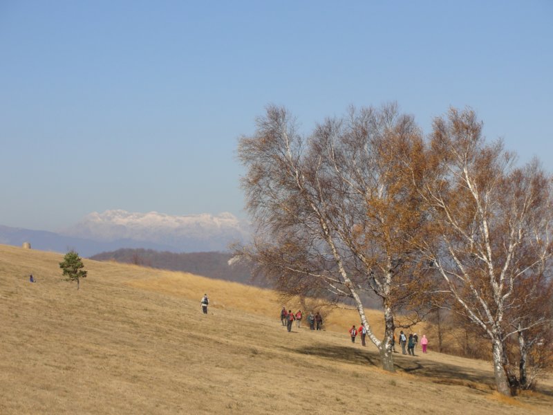 batovkapot30.jpg