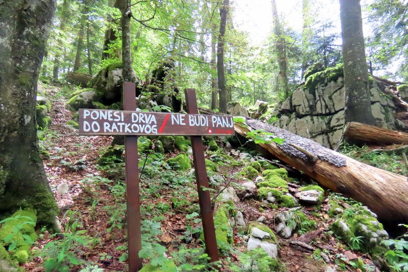 belestene26.jpg