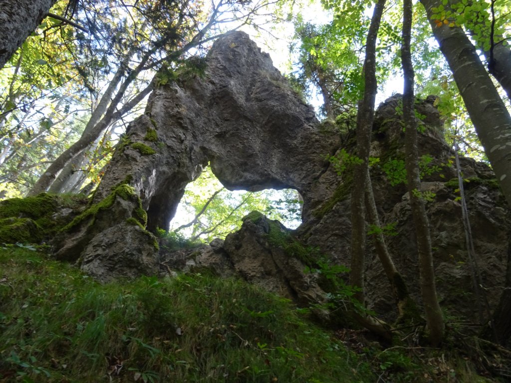 bohor18.jpg