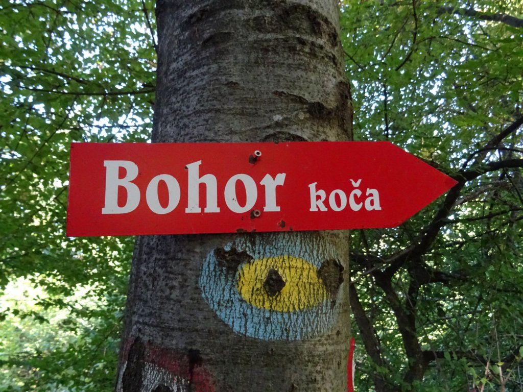 bohor4.jpg
