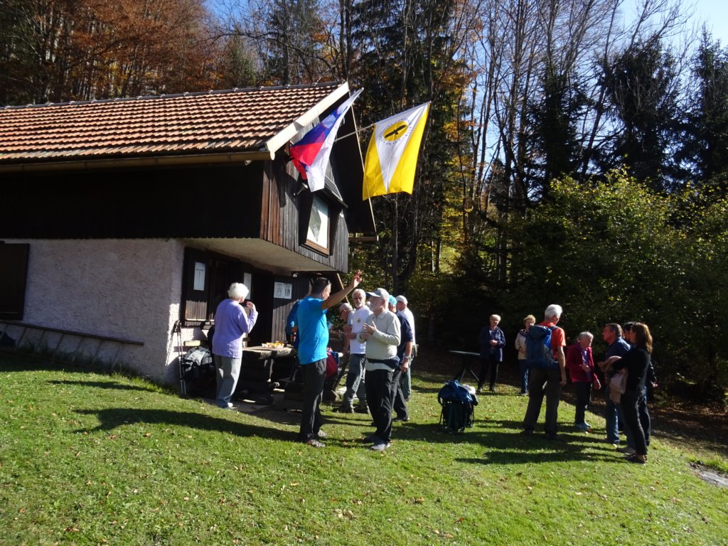 borovje33.jpg