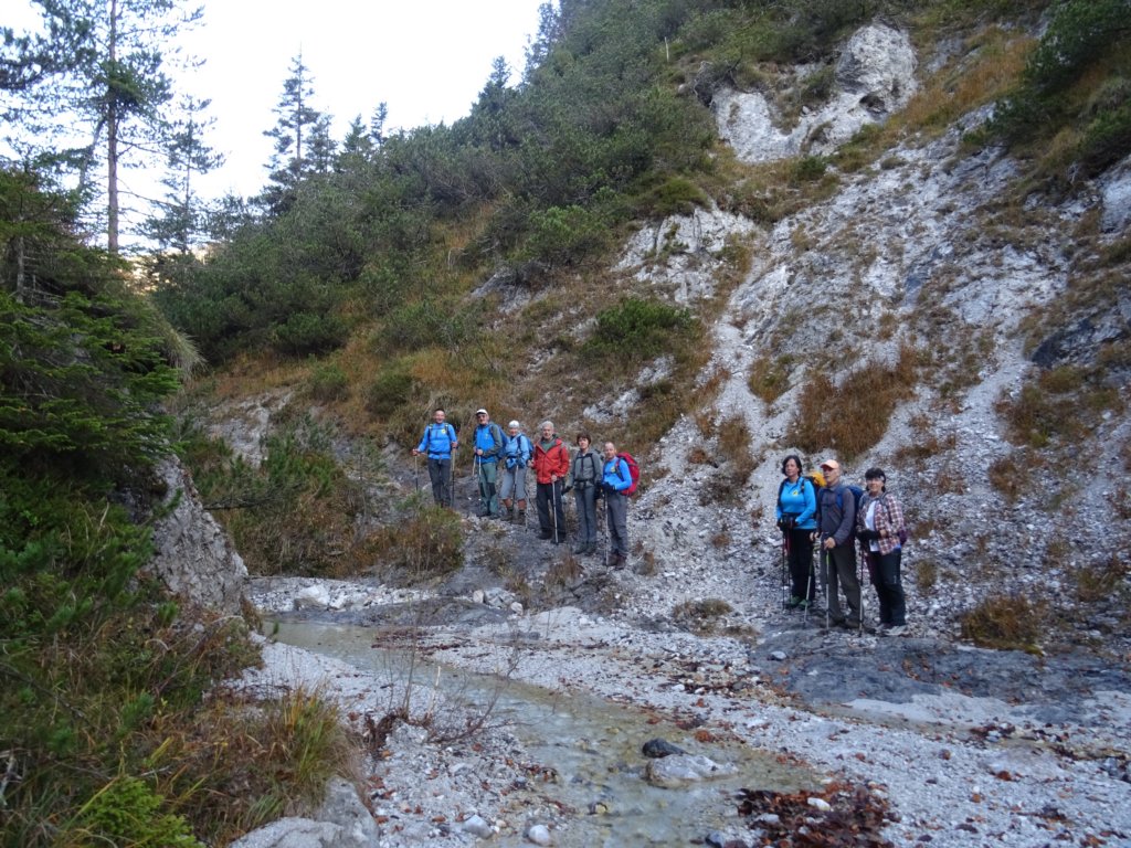 borovje5.jpg