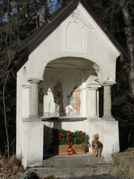 boskovec10.jpg