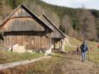 boskovec23_small.jpg