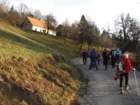 boskovec2_small.jpg