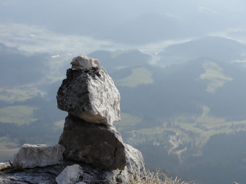 boskovec36.jpg