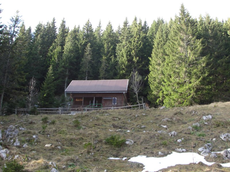 boskovec39.jpg