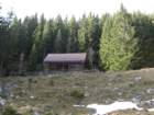 boskovec39_small.jpg