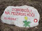 boskovec71_small.jpg