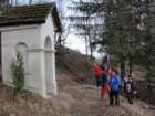 boskovec77_small.jpg