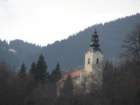 boskovec79_small.jpg