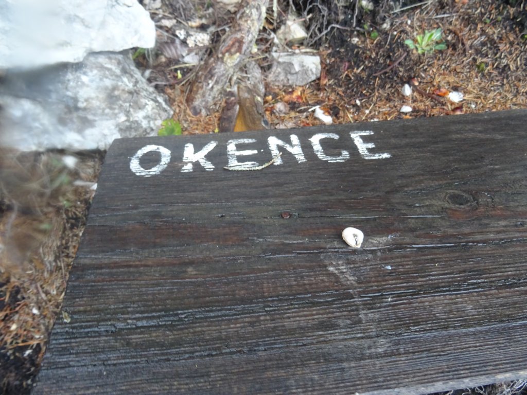 boskovecinkocbekovopriznanje31.jpg