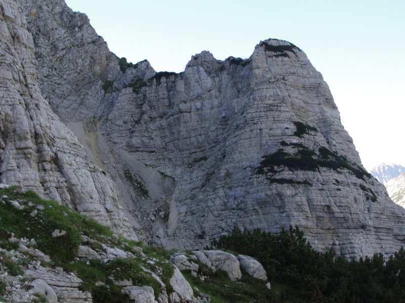 bovkigamsovec14.jpg