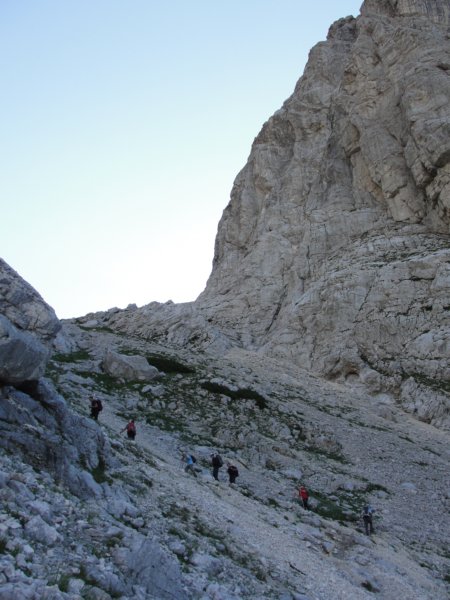 bovkigamsovec18.jpg