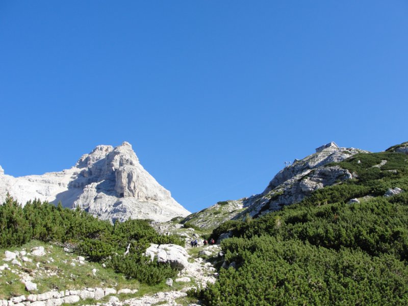 bovkigamsovec24.jpg