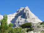 bovkigamsovec26_small.jpg