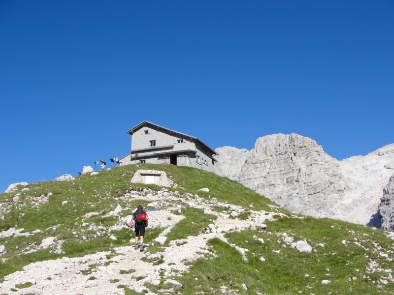 bovkigamsovec27.jpg