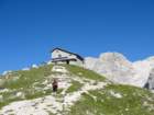 bovkigamsovec27_small.jpg