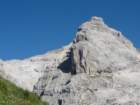 bovkigamsovec30_small.jpg