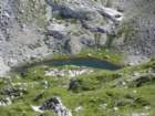 bovkigamsovec31_small.jpg