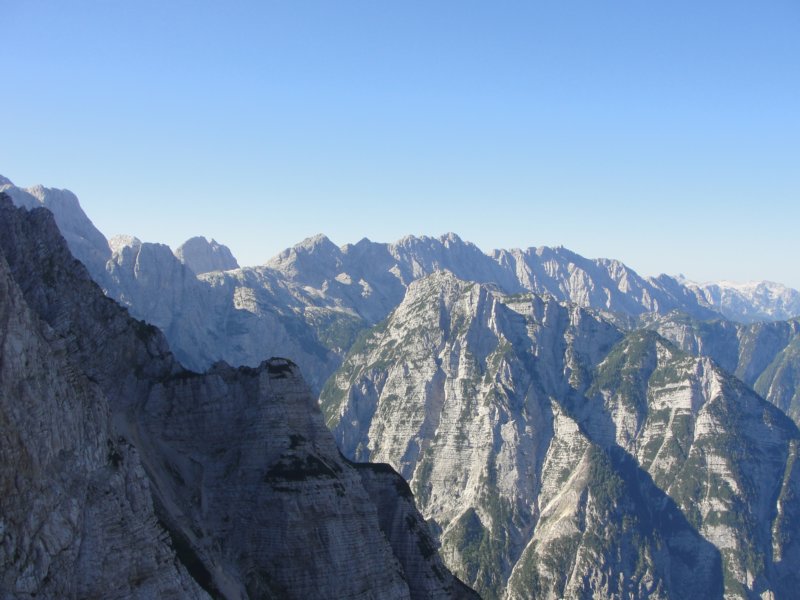 bovkigamsovec35.jpg