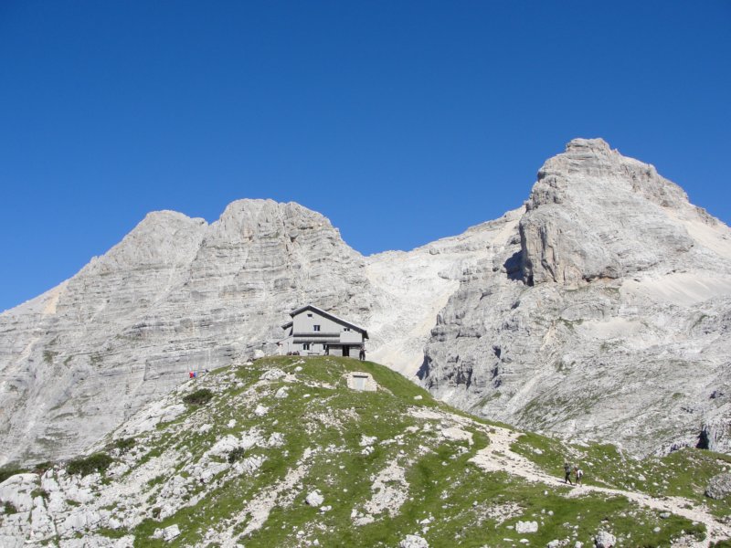 bovkigamsovec37.jpg