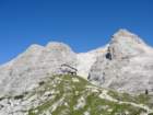 bovkigamsovec37_small.jpg