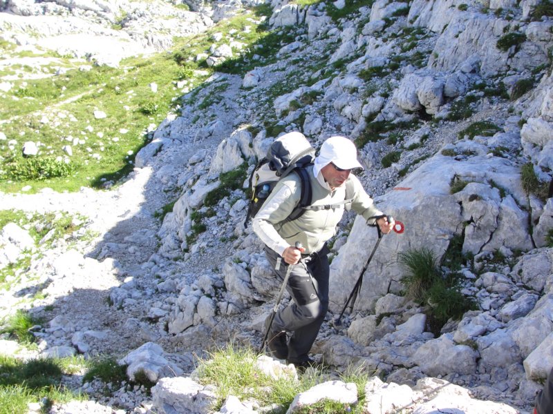 bovkigamsovec38.jpg